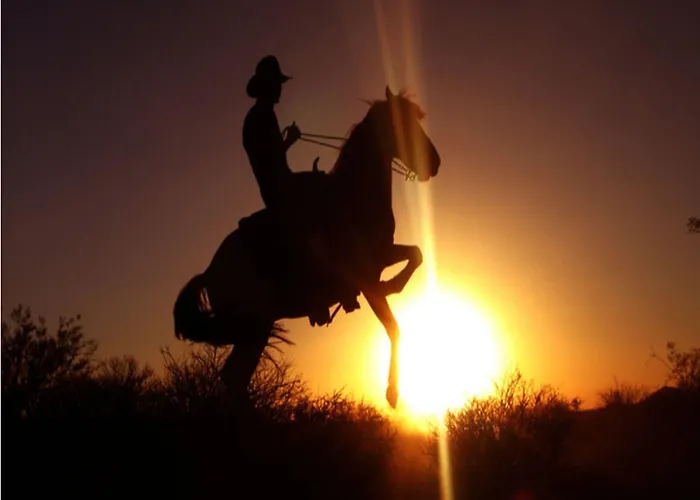 Stagecoach Trails Guest Ranch 4* Yucca