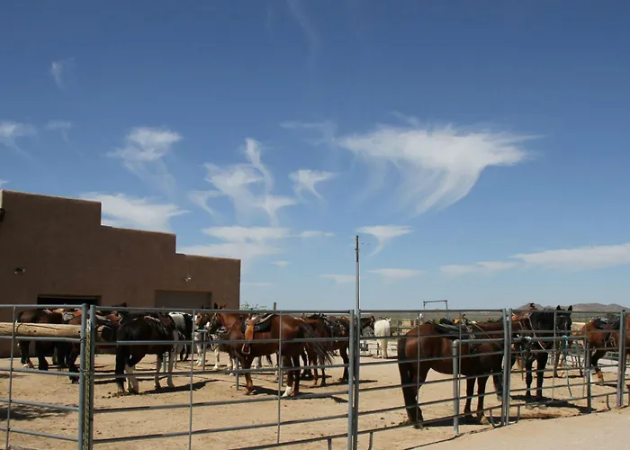 Stagecoach Trails Guest Ranch Station touristique
