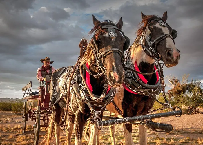 Stagecoach Trails Guest Ranch Yucca