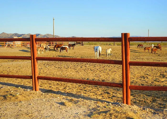 Station touristique Stagecoach Trails Guest Ranch Yucca