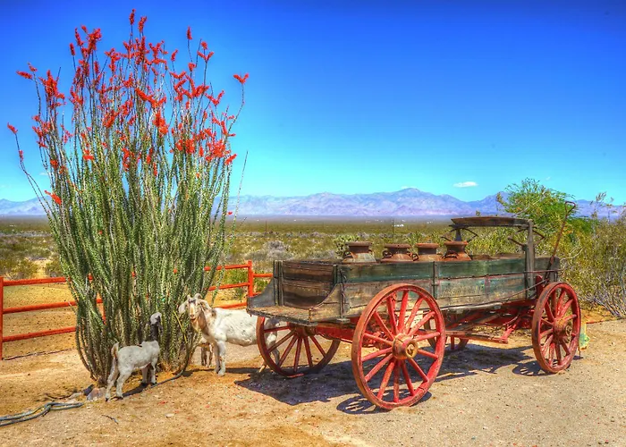 Stagecoach Trails Guest Ranch Station touristique Yucca