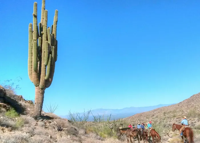Stagecoach Trails Guest Ranch 4*