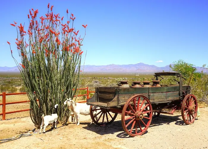 Stagecoach Trails Guest Ranch